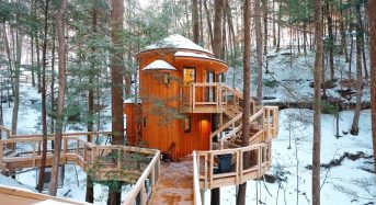 The Hemlock Treehouse